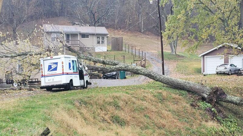 One person was taken to the hospital after a tree fell on to a United States Postal Service...
