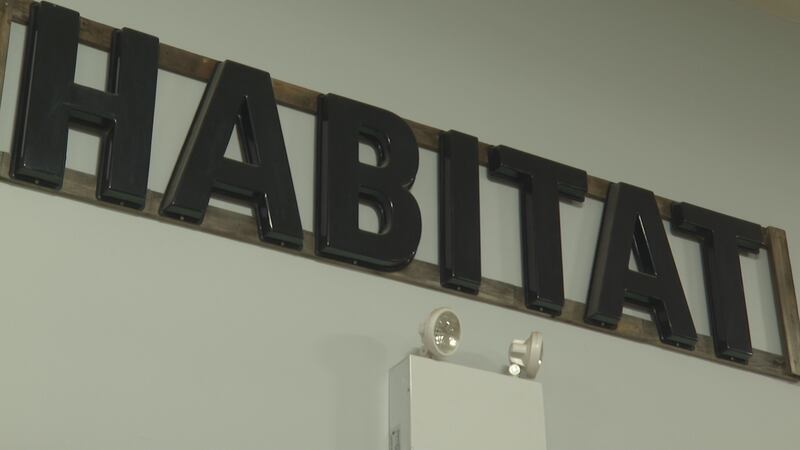 Habitat for humanity