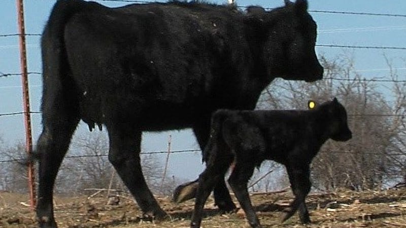 (Source KSWO)