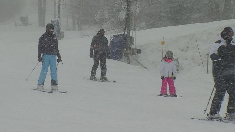 Timberline Four Seasons Resort in Tucker County is going on the auction block this week....