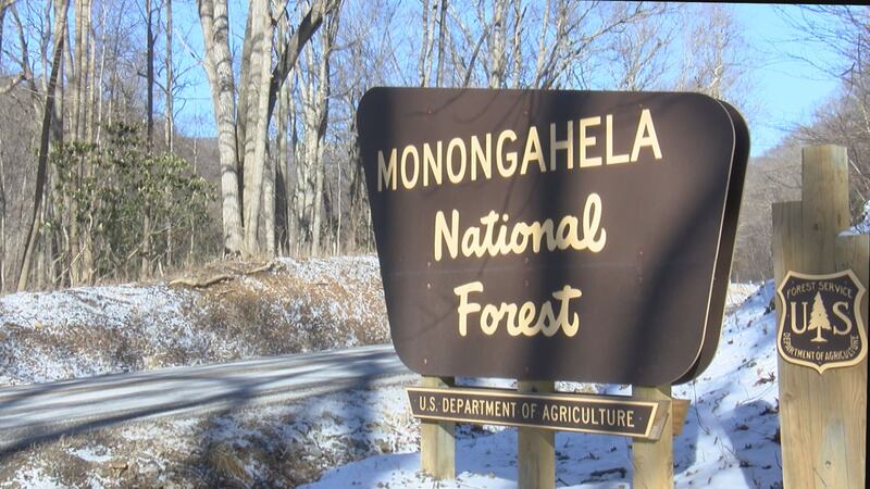 File photo of the Monongahela National Forest sign