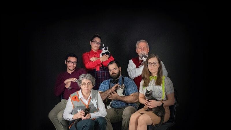 Librarians and Cats